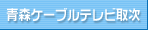 �X�P�[�u���e���r�掟