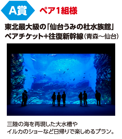 A賞 ペア1組様 「東北最大級の「仙台うみの杜水族館」ペアチケット+往復新幹線(青森~仙台)」三陸の海を再現した大水槽やイルカのショーなど日帰りで楽しめるプラン。