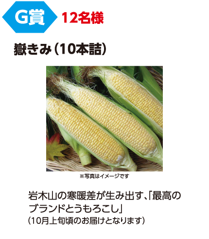 G賞 12名様「嶽きみ(10本詰)」岩木山の寒暖差が生み出す、「最高のブランドとうもろこし」(10月上旬頃のお届けとなります)