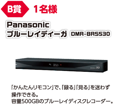 B賞 1名様 Panasonic ブルーレイディーガ DMR-BRS530/「かんたんリモコン」で、「録る」「見る」を迷わず操作できる。容量500GBのブルーレイディスクレコーダー。